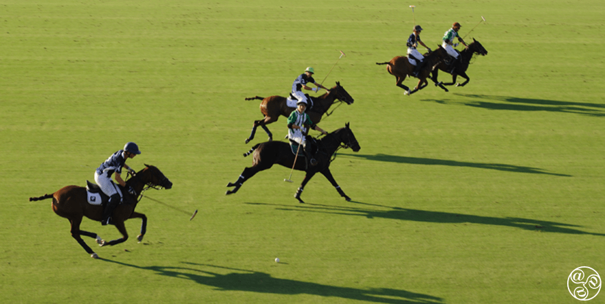 Polo at Los Pinos fields © Michelle Chaplow