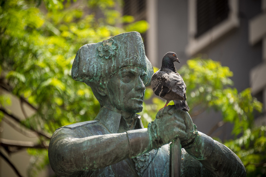 Discover Gibraltar's rich heritage and hidden curiosities at the Tourist Office © Visit Gibraltar 