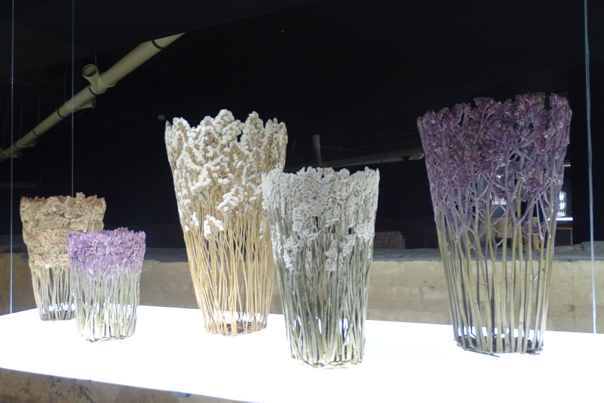 Shannon Clegg moulds flowers into sculptures.  © Fiona Flores-Watson