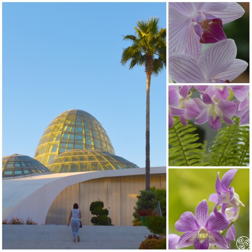 Orchid House in Estepona Orquidario Botanical Gardens