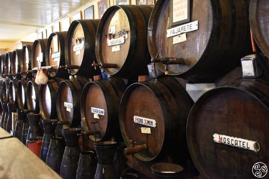 Tapas bars in Malaga city