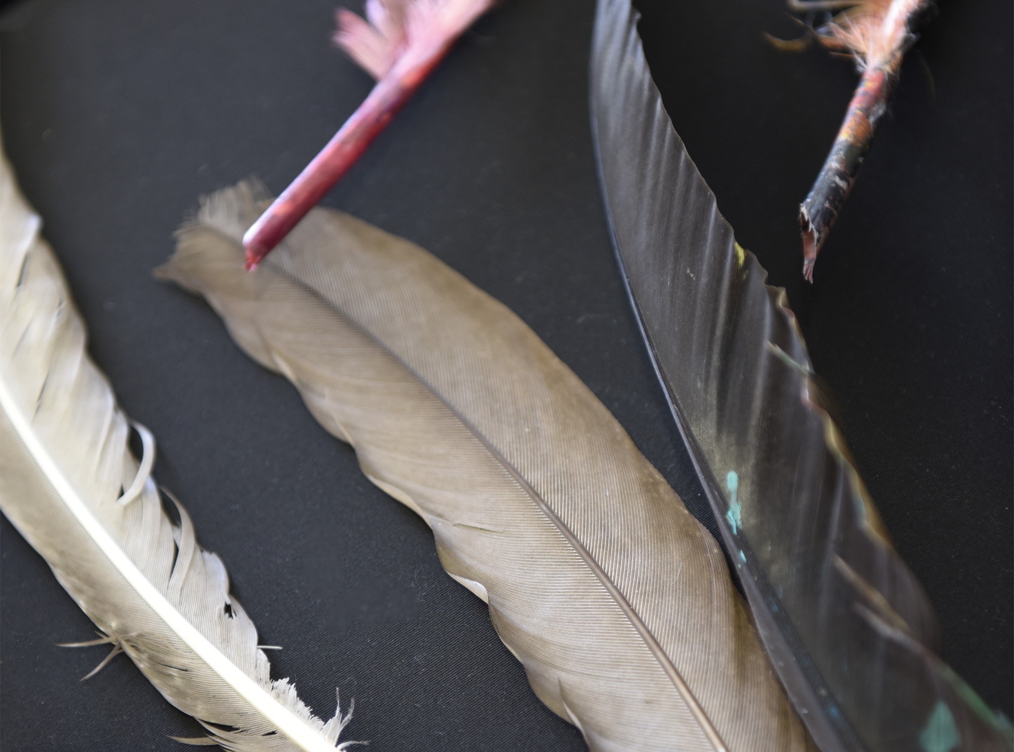 Painting with feathers in the mountains of Gaucin (c) Michelle Chaplow