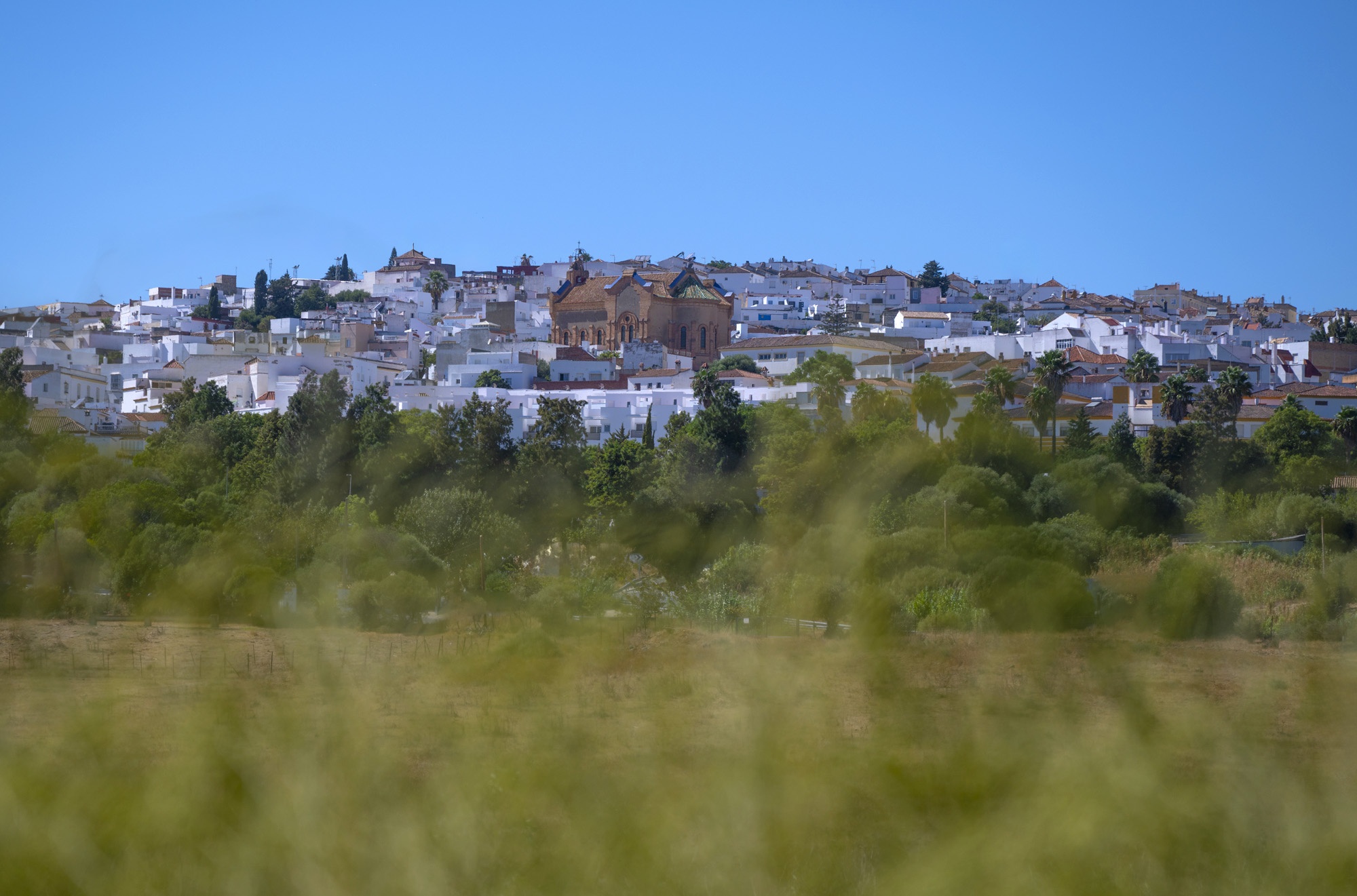 Sunlit charm of Benaulup’s white village, Cádiz © Michelle Chaplow
