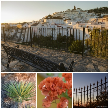 The sun-drenched white village of Alcala del los Gazules © Michelle Chaplow