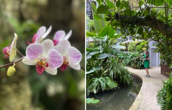 The Estepona Orchid House  © Michelle Chaplow