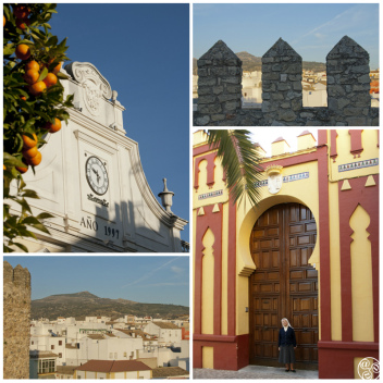 Cabra Cordoba © Michelle Chaplow