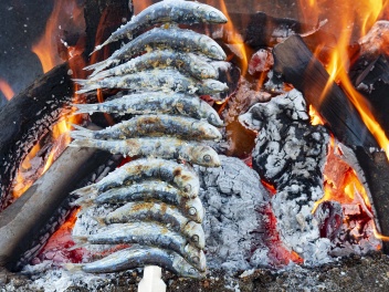 Espeto is a traditional way of cooking freshly-caught sea fish, most often sardines. © Michelle Chaplow
