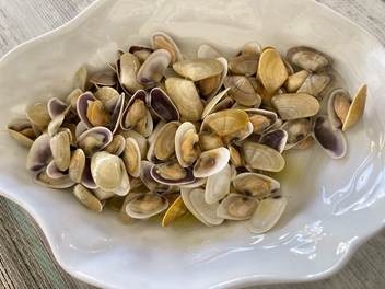Huelva is renowned for its delicious little clams or coquinas © Michelle Chaplow