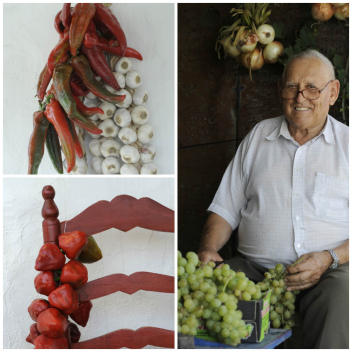 Home grown vines, garlics, peppers and onions © Michelle Chaplow