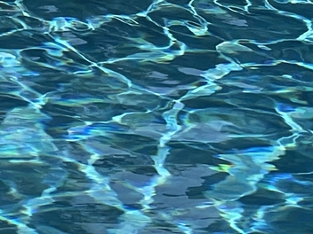 What are the current water restrictions on the Costa del Sol? © Michelle Chaplow