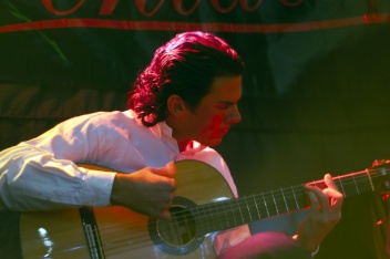 The special ambience created by the Spanish Guitar  © Michelle Chaplow