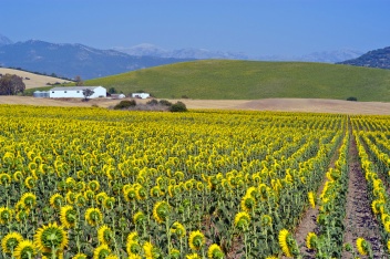 More and more people are mindful of the environment and sustainable tourism © Michelle Chaplow