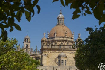 Jerez Cathedral  © Michelle Chaplow