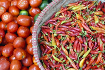 Fresh organic market produce 