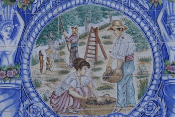 Decorative ceramics, depicting the olive harvest of Rute © Michelle Chaplow