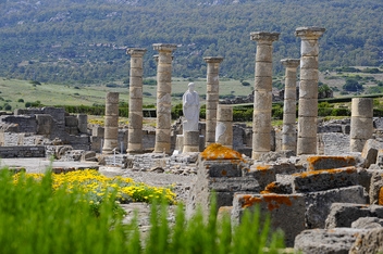 The roman ruins of Baelo Claudio © Michelle Chaplow