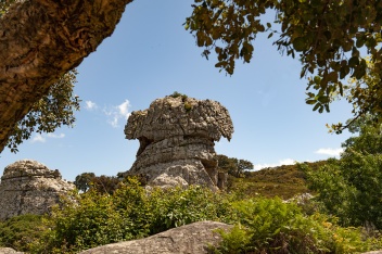 Natural monument of the Bullfighter´s hat, La Montera © Michelle Chaplow