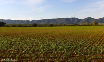 The fertile plains, near Fuente de la Piedra, Malaga. © Michelle Chaplow
