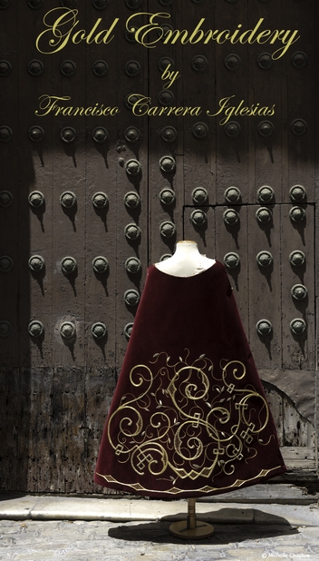 Rich velvet fabric and gleaming gold embellishment © Michelle Chaplow