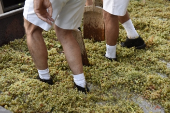 Stepping into tradition—one grape at a time, with the special shoes made for grape treading © Michelle Chaplow