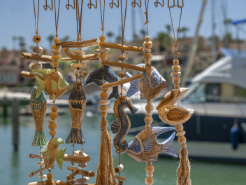 A beautiful day strolling through the Sotogrande market, browsing local crafts, enjoying the sunshine, and taking in the stunning views of the marina and yachts