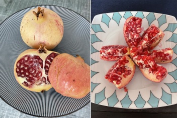 The Pomegranate appears on Granada city's coat of arms © Michelle Chaplow