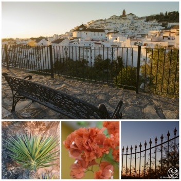 The sun-drenched white village of Alcala del los Gazules © Michelle Chaplow