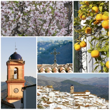 Small and very beautiful, the white village of Algatocin© Michelle Chaplow