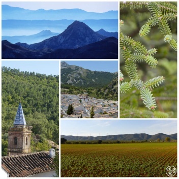 The Landscapes of Andalucia.  © Michelle Chaplow