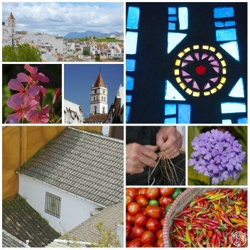 San Juan de Letran church stands proud over Arriate © Michelle Chaplow