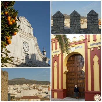 Cabra Cordoba © Michelle Chaplow