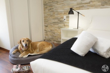 Dog enjoying the amenities © Booking.com / Casual Málaga del Mar