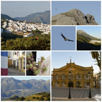 Cortes is in the heart of excellent walking country © Michelle Chaplow