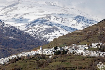 Capileira just below the mountains of the Sierra Nevada © William Eaton