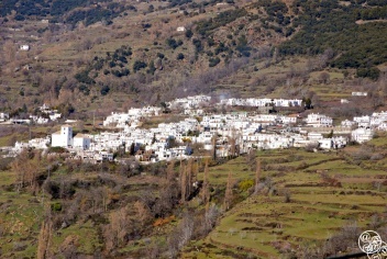 Bubión - Just below the mountains of the Sierra Nevada © William Eaton