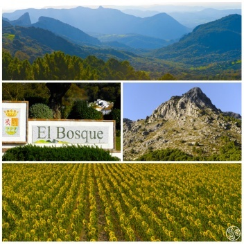 El Bosque is situated at the foot of the Sierra de Grazalema on the banks of the river Majaceite. © Michelle Chaplow