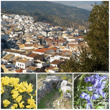 The village of El Gastor, yellow gorse, an ancient dolmen and © Michelle Chaplow