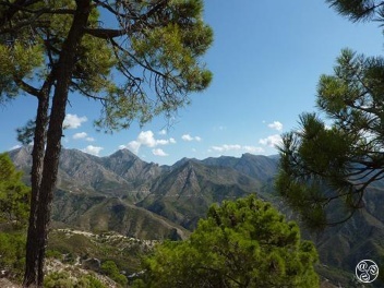 Coast to Coast footpath's © GHW