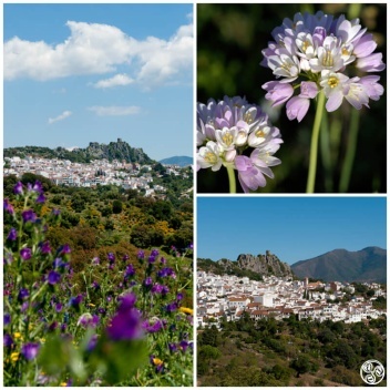 Wandering around the beautiful white Village of Gaucin © Michelle Chaplow