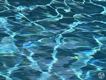 What are the current water restrictions on the Costa del Sol? © Michelle Chaplow