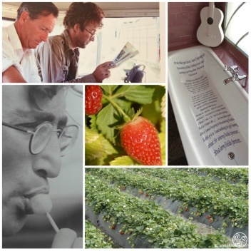  John Lennon wrote Strawberry Fields in Almeria © Andalucia.com