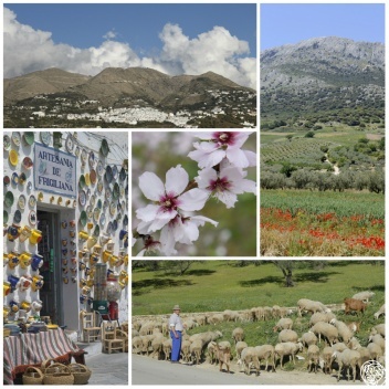La Axarquía, Malaga, Andalucia, Spain © Michelle Chaplow