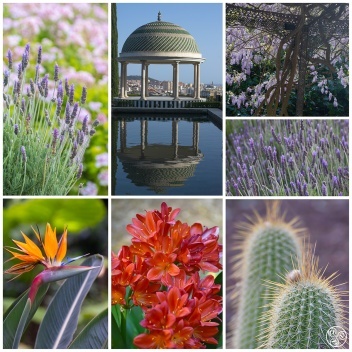 La Concepción Jardín Botánico-Historico de Málaga. © Michelle Chaplow