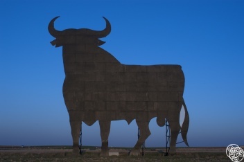 The Iconic Osbourne Bull © Michelle Chaplow