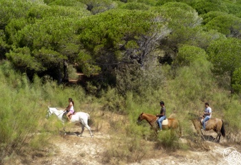Horse ridding in Bolonia Andalucia  © Michelle Chaplow