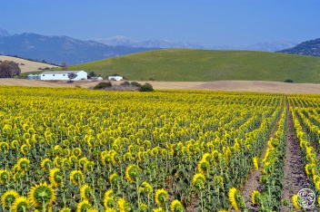 More and more people are mindful of the environment and sustainable tourism © Michelle Chaplow