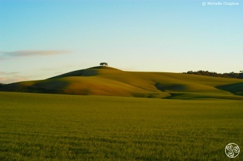 The fertile plains, near Arcos de La Frontera, Cadiz. © Michelle Chaplow