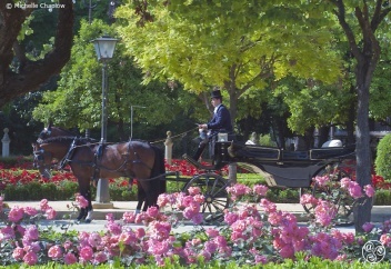 Plaza de América in Sevilla © Michelle Chaplow