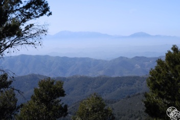 There are five signposted walks in the park Montes de Malaga