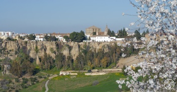 Ronda is one of the most beautiful towns in Andalucia. © Michelle Chaplow